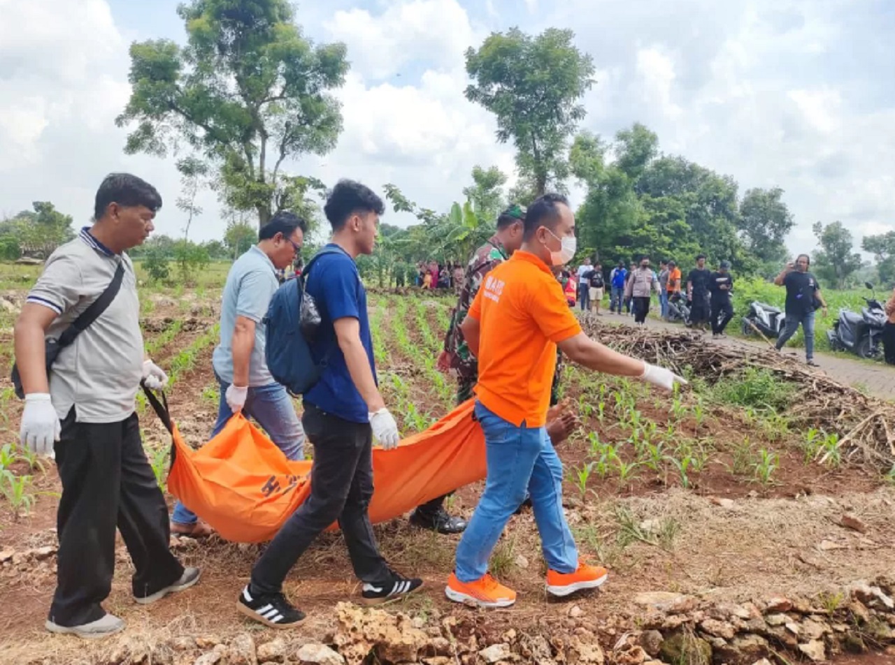 Dipenuhi Kejanggalan, Saksi Perampokan Tragis di Desa Imaan Gresik Ditemukan Tewas di Kebun Jagung