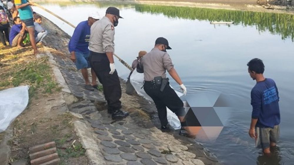 Warga di Jombang Temukan Mayat Perempuan di Anak Sungai Brantas